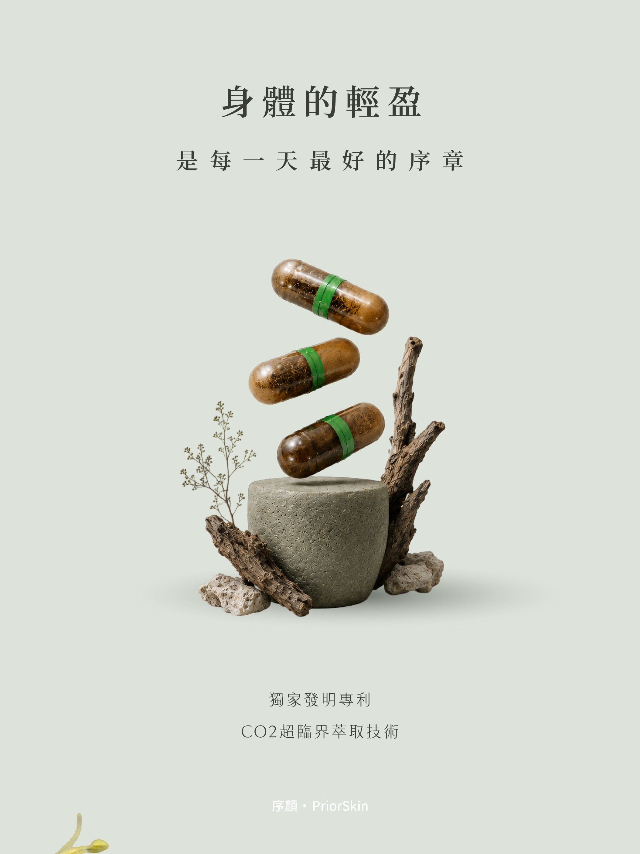 平衡油萃膠囊