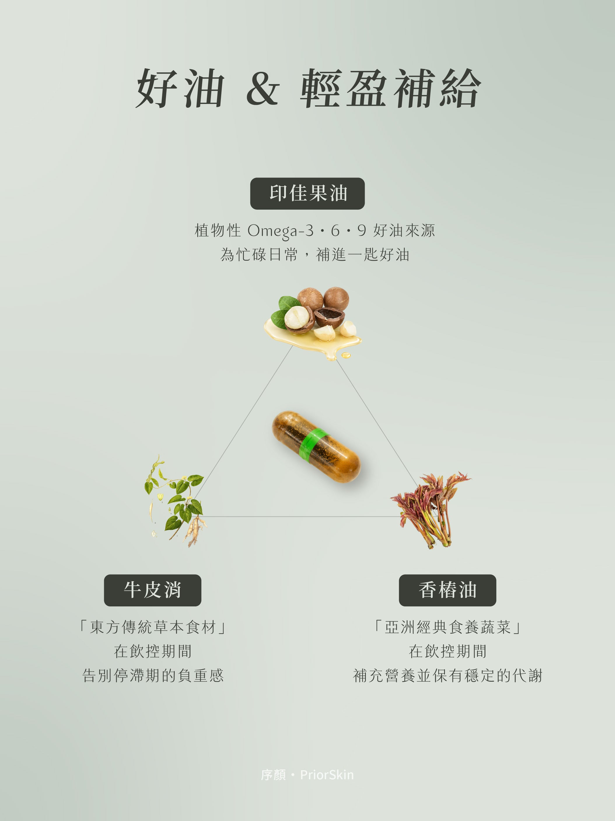 平衡油萃膠囊